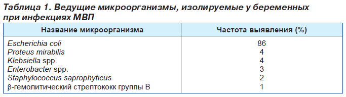 Инфекции мочевых путей у беременных | 